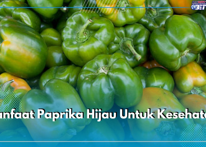 Kandungan Antioksidan Paprika Hijau Dapat Mencegah Kanker, Cek 9 Manfaat Lainnya untu Kesehatan