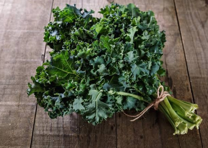 Ini Efek Samping Berbahaya dari Konsumen Sayur Kale Secara Berlebihan, Jangan Remehkan Ya!