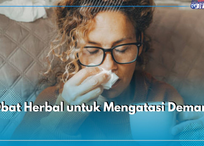 6 Obat Herbal yang Ampuh untuk Turunkan Demam, Ada Jahe hingga Daun Kemangi