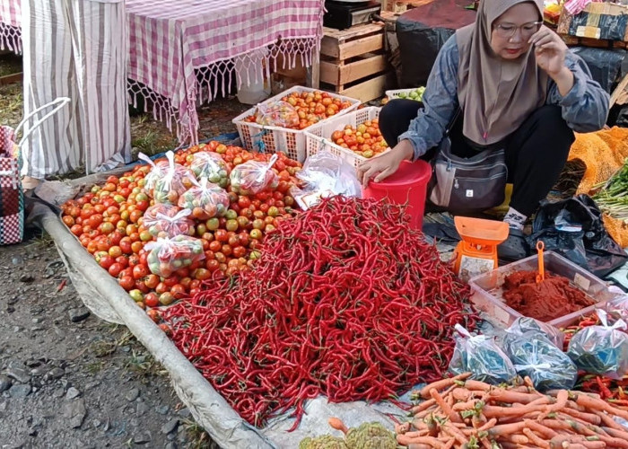Harga Cabai Merah di Taba Penanjung Bengkulu Tengah Makin ‘Pedas’, Tembus Rp80 Ribu per Kilogram
