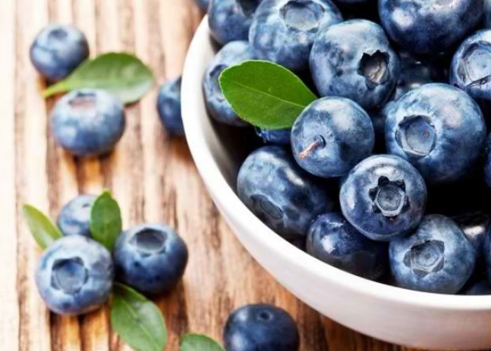 Kulit Glowing Seketika dengan Gunakan Buah Blueberry, Cek Manfaat Lengkapnya Disini!