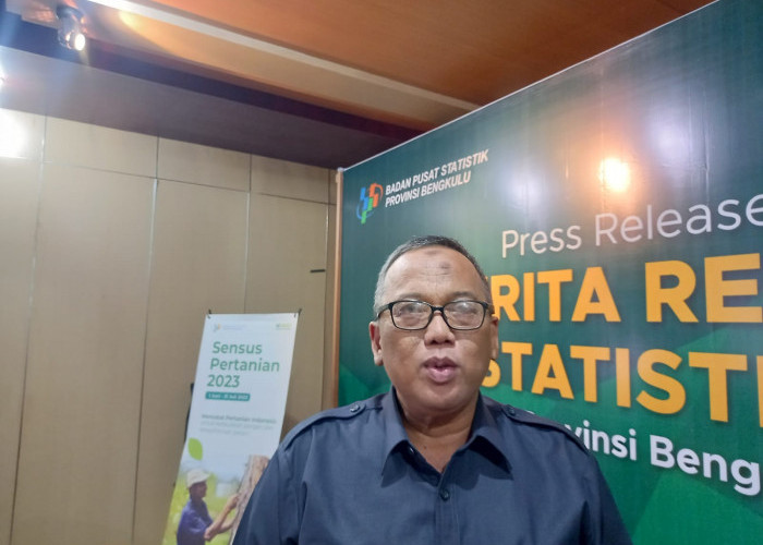 37.845 Penduduk Usia Kerja Provinsi Bengkulu Pengangguran, Didominasi Tamatan Sarjana