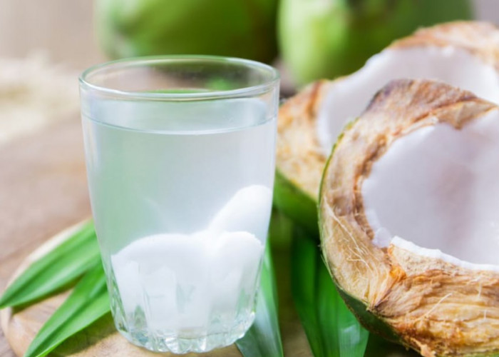 7 Manfaat Air Kelapa bagi Kesehatan, Salah Satunya Bisa Bantu Memenuhi Kebutuhan Cairan Tubuh
