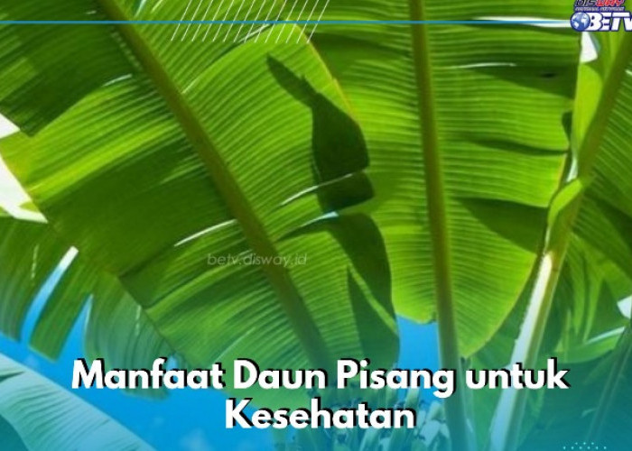 Manfaat Lain Daun Pisang yang Sayang Dilewatkan, Ampuh Menurunkan Risiko Keracunan