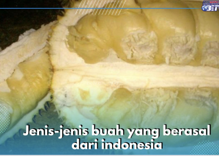 8 Jenis Buah Ini Ternyata Asli dari Indonesia, Apa Saja? Cek Sekarang