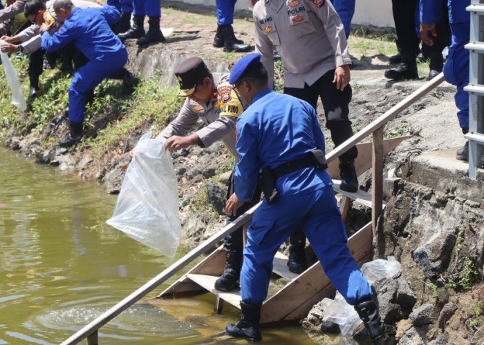 Dukung Program Presiden, Kapolda Bengkulu Tebar 30.000 Benih Ikan Nila 