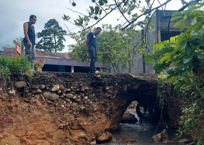 Digerus Air, Jalan Menuju Desa Surau Terancam Ambruk