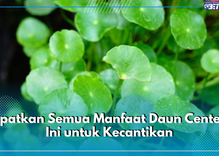 Dapatkan Semua Manfaat Daun Centella Ini untuk Kecantikan, Salah Satunya Mencerahkan Kulit