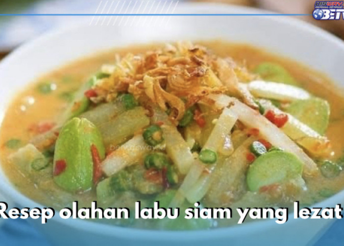 Lezat dan Bergizi! ini 5 Resep Olahan Labu Siam yang Wajib Kamu Recook