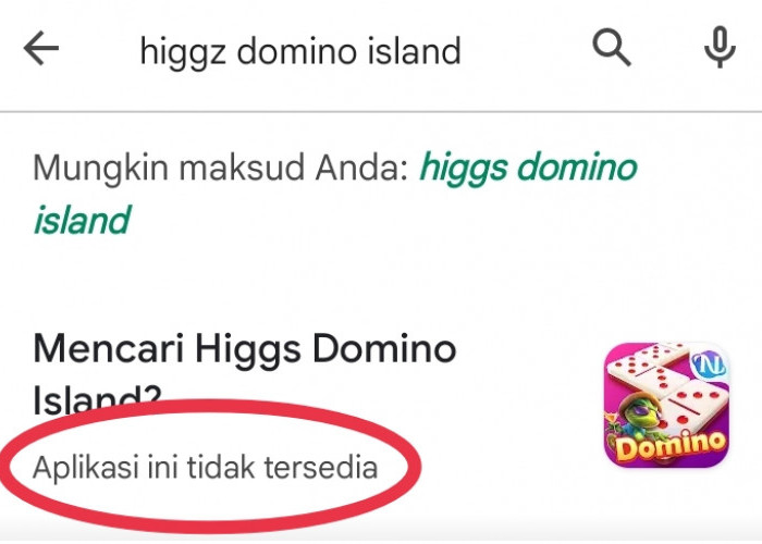 Dulu Dikejar Polisi, Kini Aplikasi Higgs Domino Island 'Hilang' di Play Store