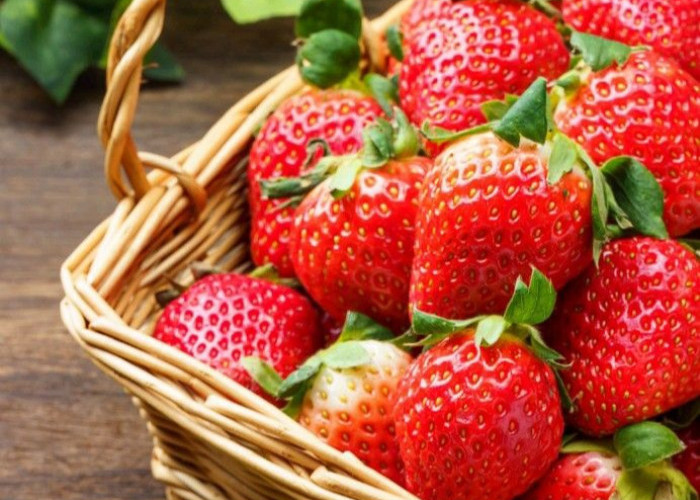 Bisa Dikonsumsi Sehari-hari, Ini Manfaat Strawberry untuk Ibu Hamil, Kaya Vitamin C dan Folat