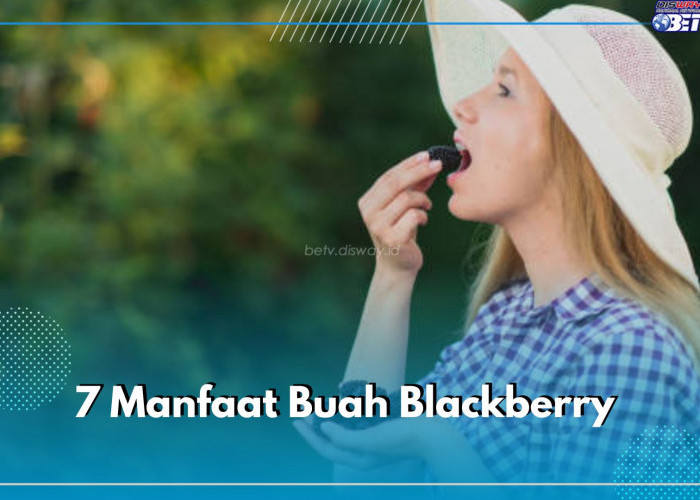 Intip 7 Manfaat Buah Blackberry, Ampuh Mengatasi Beragam Masalah Kesehatan Dari Dalam Tubuh