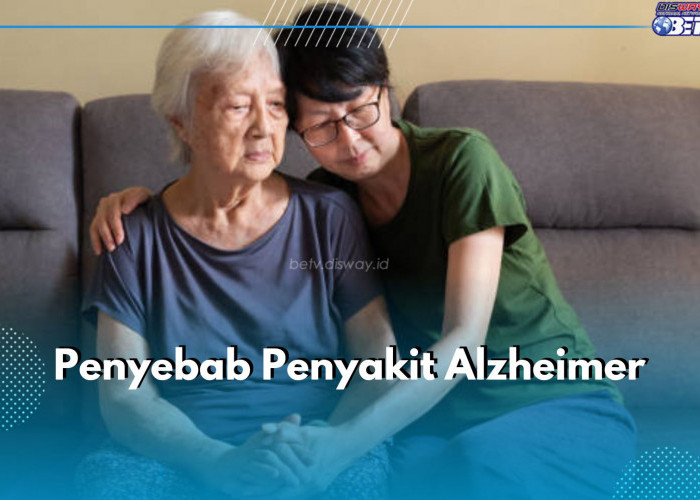 Sering Dialami Lansia, Ini Penyebab Penyakit Alzheimer dan Faktor Resikonya