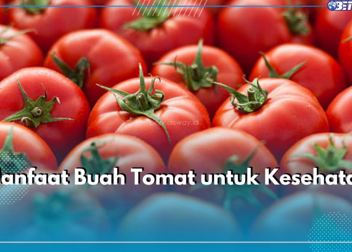 5 Manfaat Buah Tomat untuk Kesehatan, Ampuh Jaga Kesehatan Mata hingga Lancarkan Pencernaan