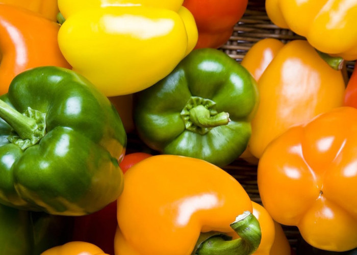 Ini Manfaat Konsumsi Paprika untuk Kesehatan, Sayuran yang Kaya Vitamin dan Antioksidan
