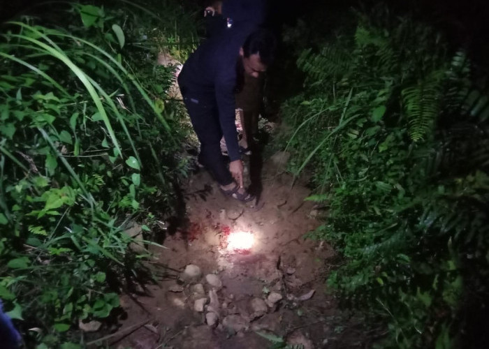 Mantan Suami Istri di Bengkulu Utara Cekcok, Keduanya Terluka Akibat Sajam