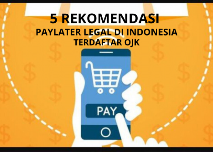 5 Rekomendasi PayLater Legal dan Resmi di Indonesia, Sudah Terdaftar OJK, Proses Pengajuannya Juga Mudah