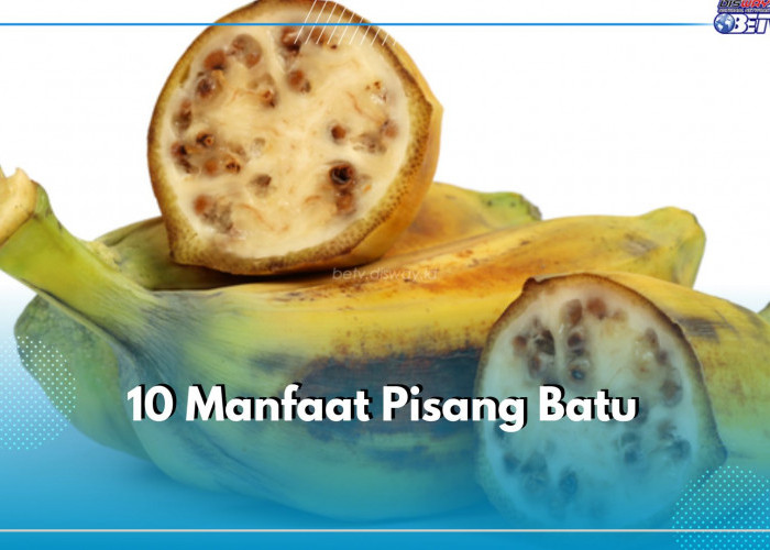 10 Manfaat Pisang Batu, Tidak Hanya Kesehatan Juga untuk Kecantikan