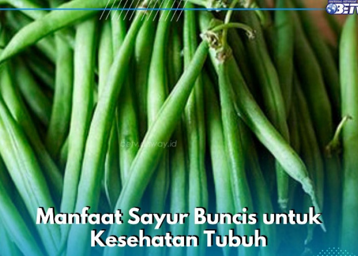 7 Manfaat Sayur Buncis yang Sayang Dilewatkan, Dipercaya Dapat Mengurangi Gejala Depresi