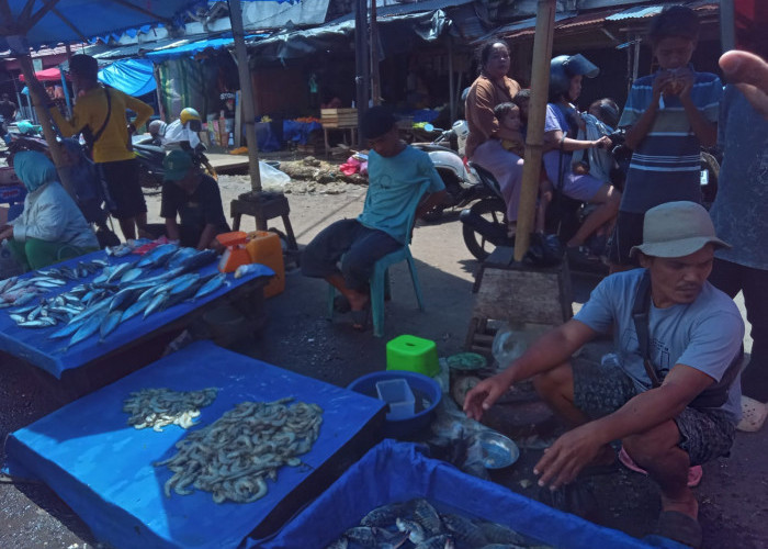 Kamis, Pemkot Bengkulu Tertibkan PKL Pasar Panorama-Minggu 