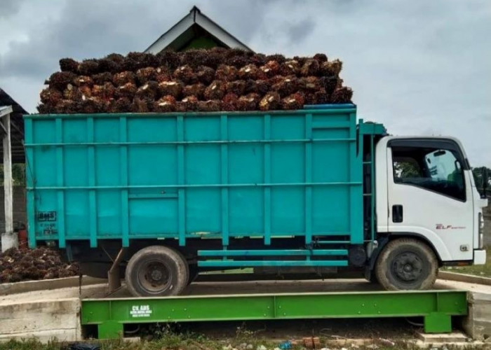 Cegah Kecurangan Transaksi, Pemkab Seluma Wajibkan Semua Timbangan RAM Elektronik Ditera Ulang