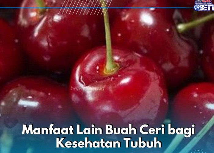 Ampuh Menjaga Kesehatan Jantung, Ini Manfaat Buah Ceri Lainnya yang Perlu Diketahui