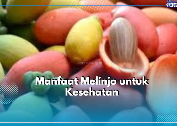 Baik untuk Kesehatan Tulang dan Jaga Imun Tubuh, Inilah Manfaat Melinjo untuk Kesehatan