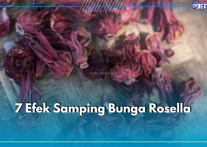 7 Efek Samping Bunga Rosella, Picu Gejala Buruk Jika Dikosumsi Secara Berlebihan