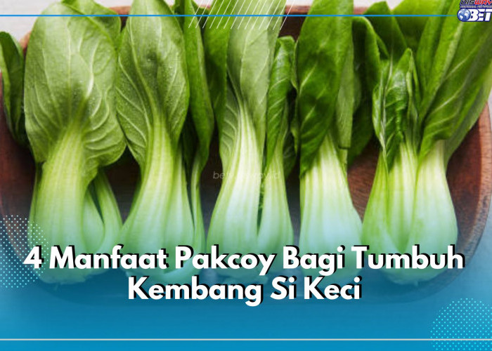 Ini Dia 4 Manfaat Pakcoy Bagi Tumbuh Kembang Si Kecil, Boleh Dikonsumsi untuk MPASI Mulai 6 Bulan