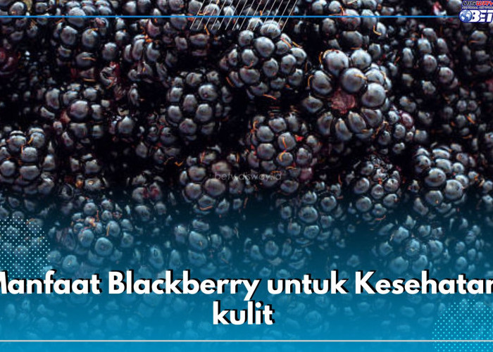 Menjaga Kesehatan Kulit Wajah, Ini Sederet Manfaat Mengonsumsi Buah Blackberry Secara Rutin Untuk Kecantikan