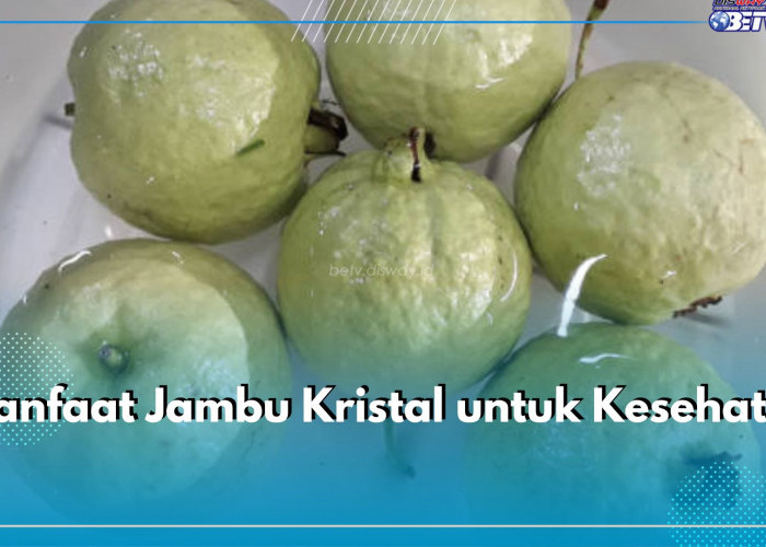 Khasiat Luar Biasa Jambu Kristal untuk Kesehatan, Cek di Sini Ragam Manfaatnya!