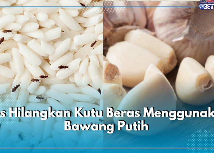 Tips Hilangkan Kutu Beras Menggunakan Bawang Putih, Anti Ribet!