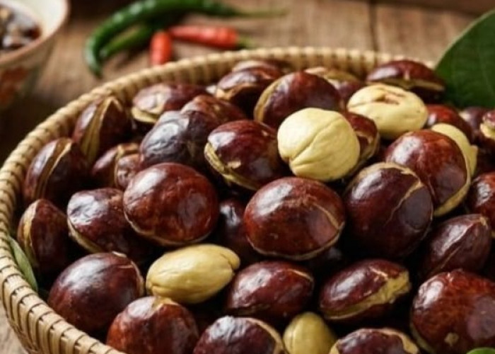 Cek di Sini! Manfaat Jengkol bagi Kesehatan, Dapat memenuhi Kebutuhan Serat
