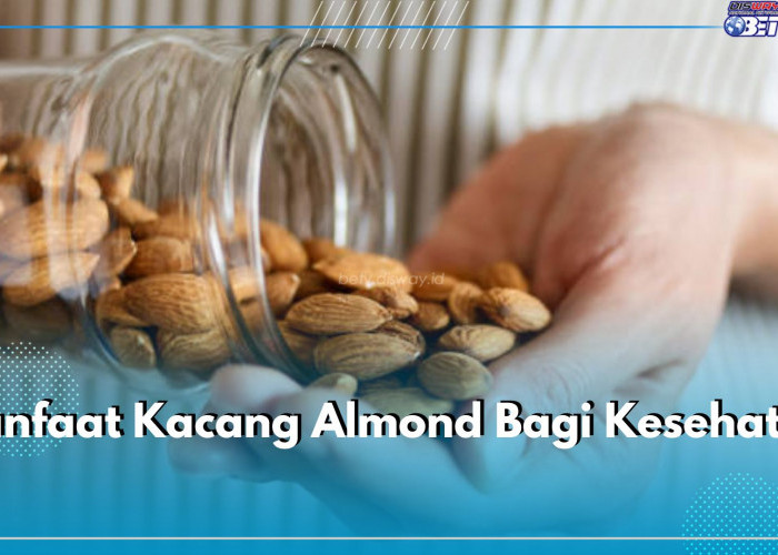 Cek Kandungan Kacang Almond, Ini 9 Manfaat yang Diperoleh Tubuh