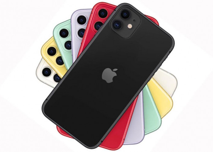 Apa Bedanya? Berikut Perbandingan Spesifikasi iPhone 11 dan 12 Lengkap dengan Harga Terbaru Januari 2024
