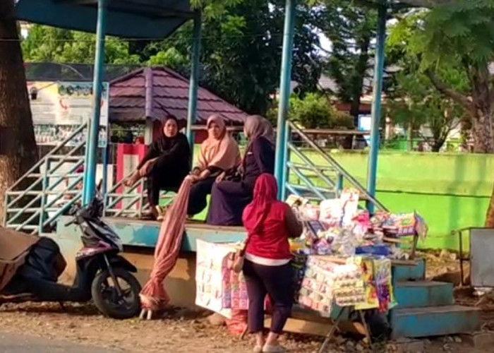 Halte Bus Trans Rafflesia Terbengkalai! Dishub Provinsi Bengkulu Akan Lakukan Ini