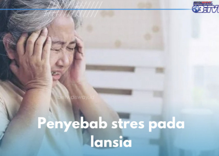 Perubahan Gaya Hidup hingga Kondisi Sekitar Tak Mendukung, Ini 5 Penyebab Stres pada Lansia