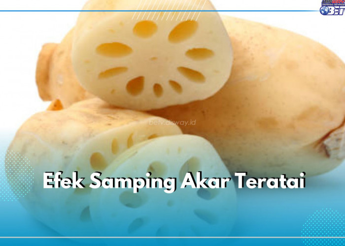 Sering Diolah Menjadi Masakan, Kenali 6 Efek Samping Akar Teratai Ketika Dikonsumsi Berlebihan