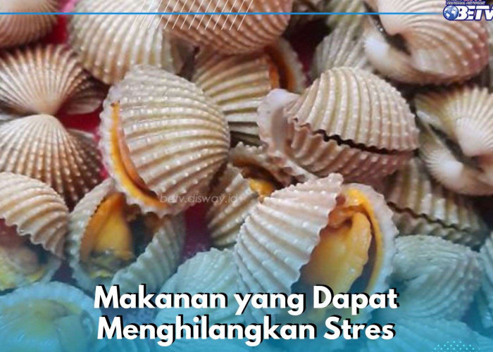 6 Makanan Ini Ampuh Menghilangkan Stres, Salah Satunya Coba Konsumsi Kerang