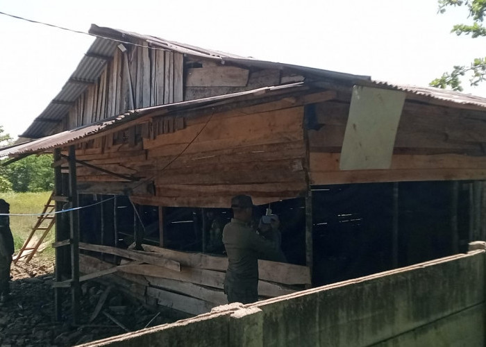 Berpotensi Jadi Tempat Prostitusi, Satpol PP Bongkar Warem di Beringin Raya