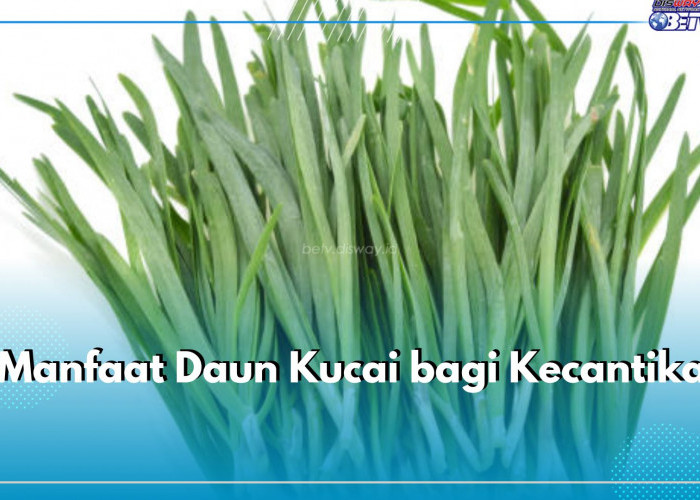 Ini 5 Manfaat Daun Kucai bagi Kecantikan, Berikut Cara Mengolahnya untuk Perawatan