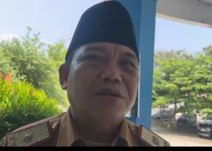 Inflasi di Kota Bengkulu Terkendali, Harga Ayam Potong Naik Tembus Rp45 Ribu per Kilogram