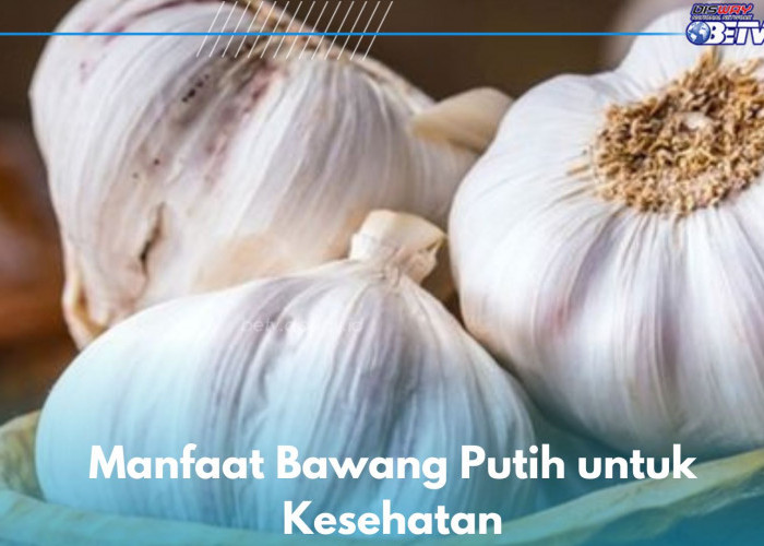 Bawang Putih Ampuh Mengatasi Rambut Rontok, Cek Manfaat Lainnya di Sini