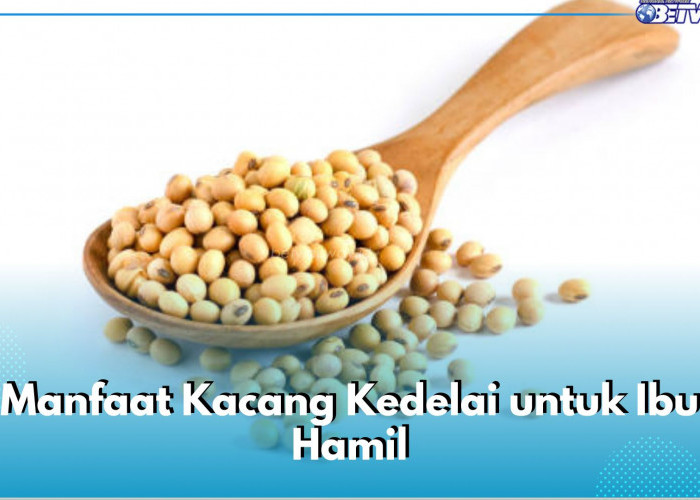 Kaya Akan Asam Folat, Kacang Kedelai Tawarkan 5 Manfaat Ini untuk Ibu Hamil, Cek Apa Saja!