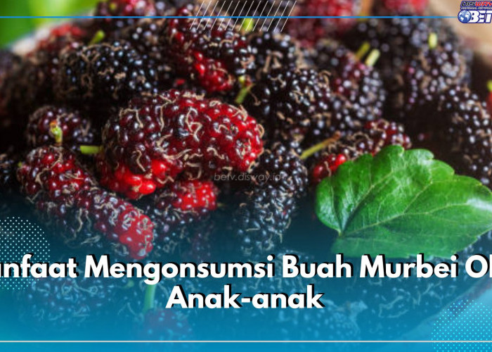 Bagus Meningkatkan Kecerdasan Otak, Ini Dia 10 Manfaat Mengonsumsi Buah Murbei Oleh Anak-anak