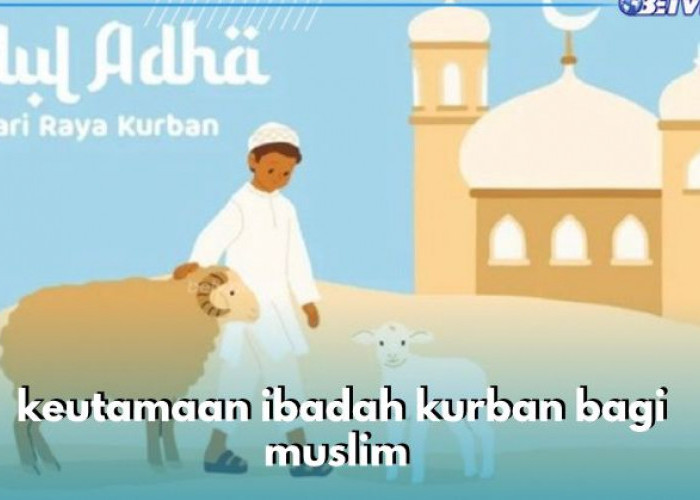 10 Keutamaan Ibadah Kurban Bagi Seorang Muslim, Dapat Kebaikan dari Setiap Helai Bulu Hewan
