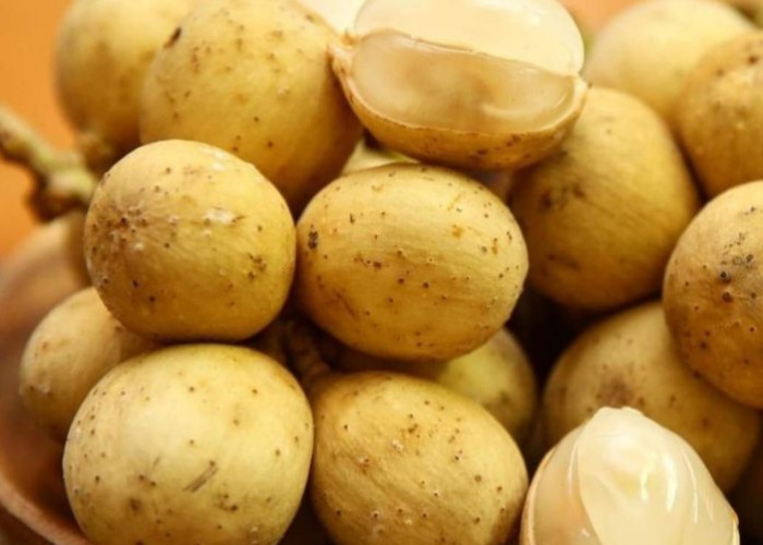 Kaya Nutrisi, Ini Manfaat Duku untuk Kesehatan Tubuh, Buah Manis yang Baik bagi Pencernaan 