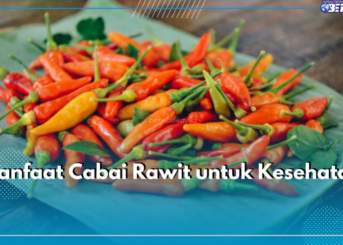 Cabai Rawit Ternyata Baik untuk Pencernaan, Cek 5 Manfaat Lainnya di Sini