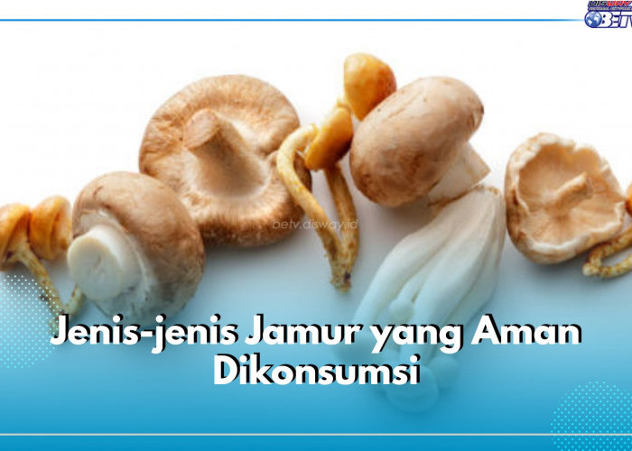 7 Jenis Jamur yang Aman Dikonsumsi, Ada Jamur Tiram Favorit Sejuta Umat!