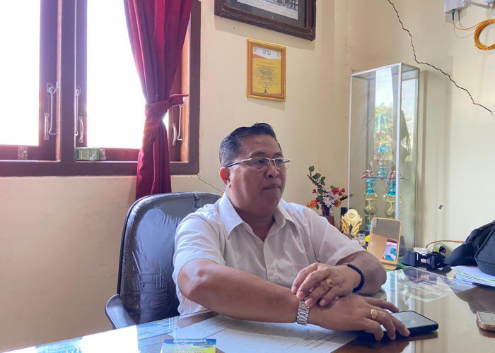Dinas TPHP Provinsi Bengkulu Ungkap Penyebab Turunnya Harga TBS Sawit di Bengkulu
